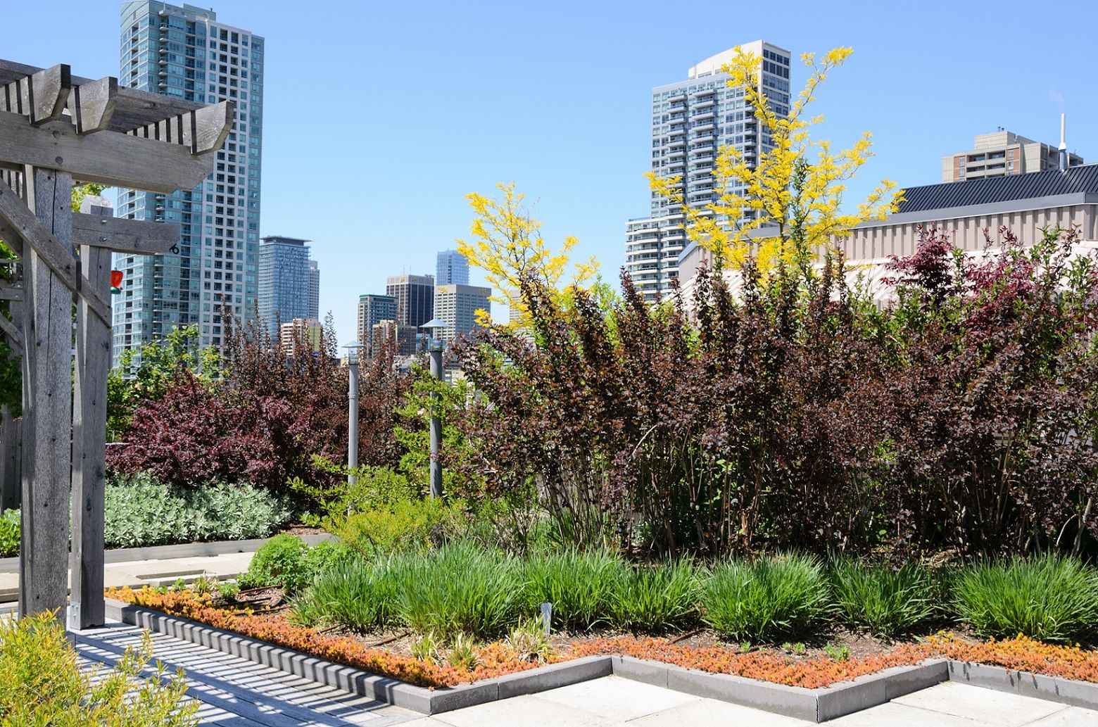 A green roof against a skyline - incorporating greenery into cities is one way we can embed nature-based solutions into infrastructure design.