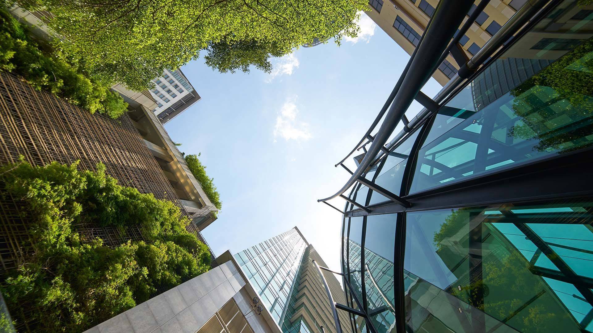 Looking up at a vertical garden in the middle of a city 