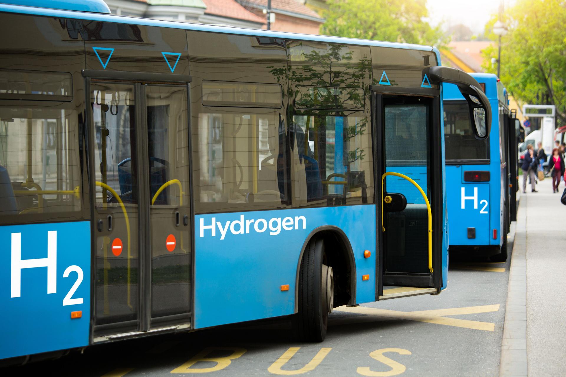 Hydrogen buses 