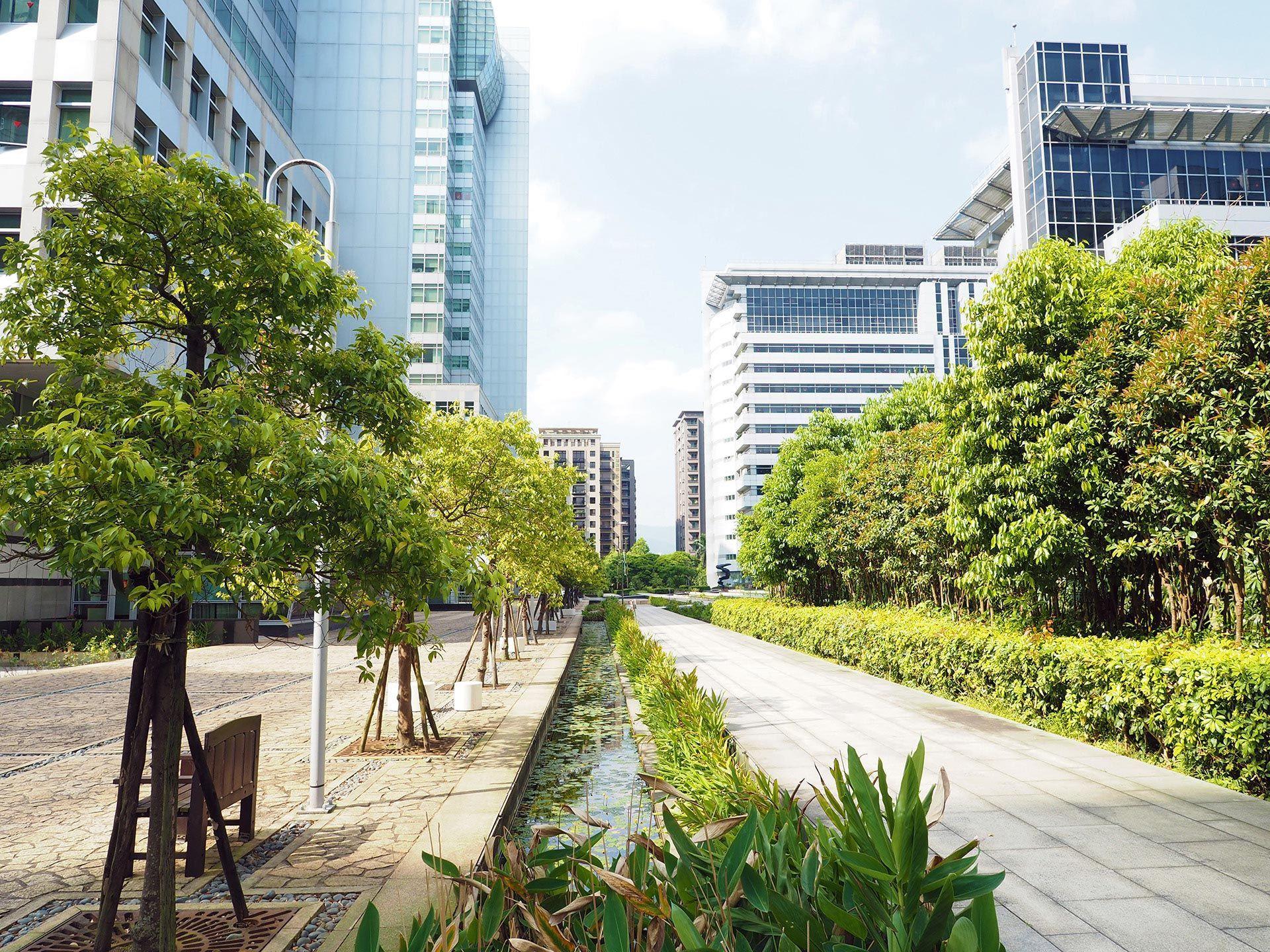 A sustainable ecological street in a city 