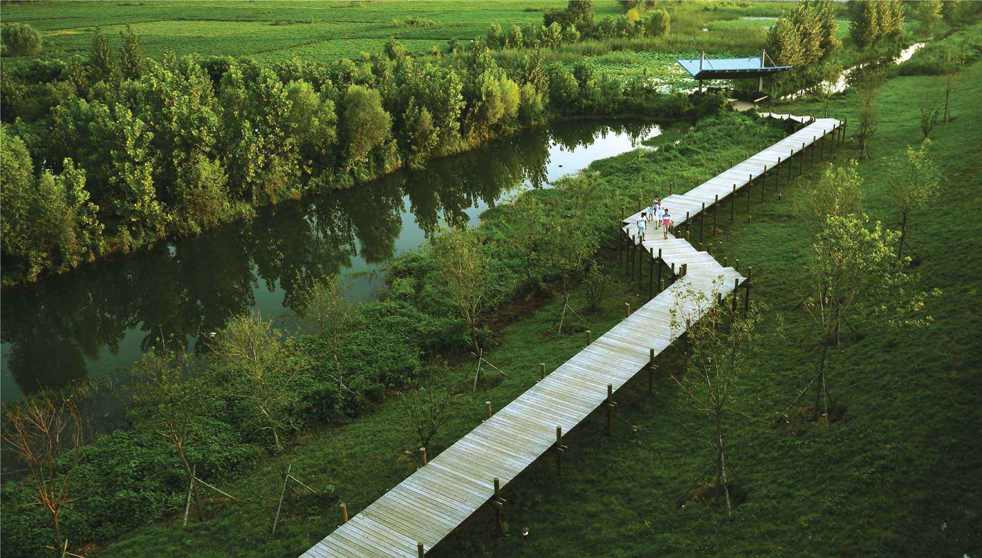 a walkway by a river in the countryside